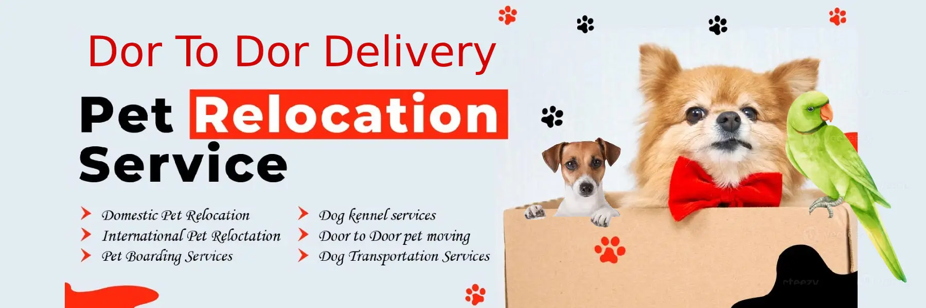 Pet Service Dor To DOr